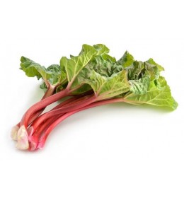 Rhubarb Rose Balsamic Condimento ***NEW***